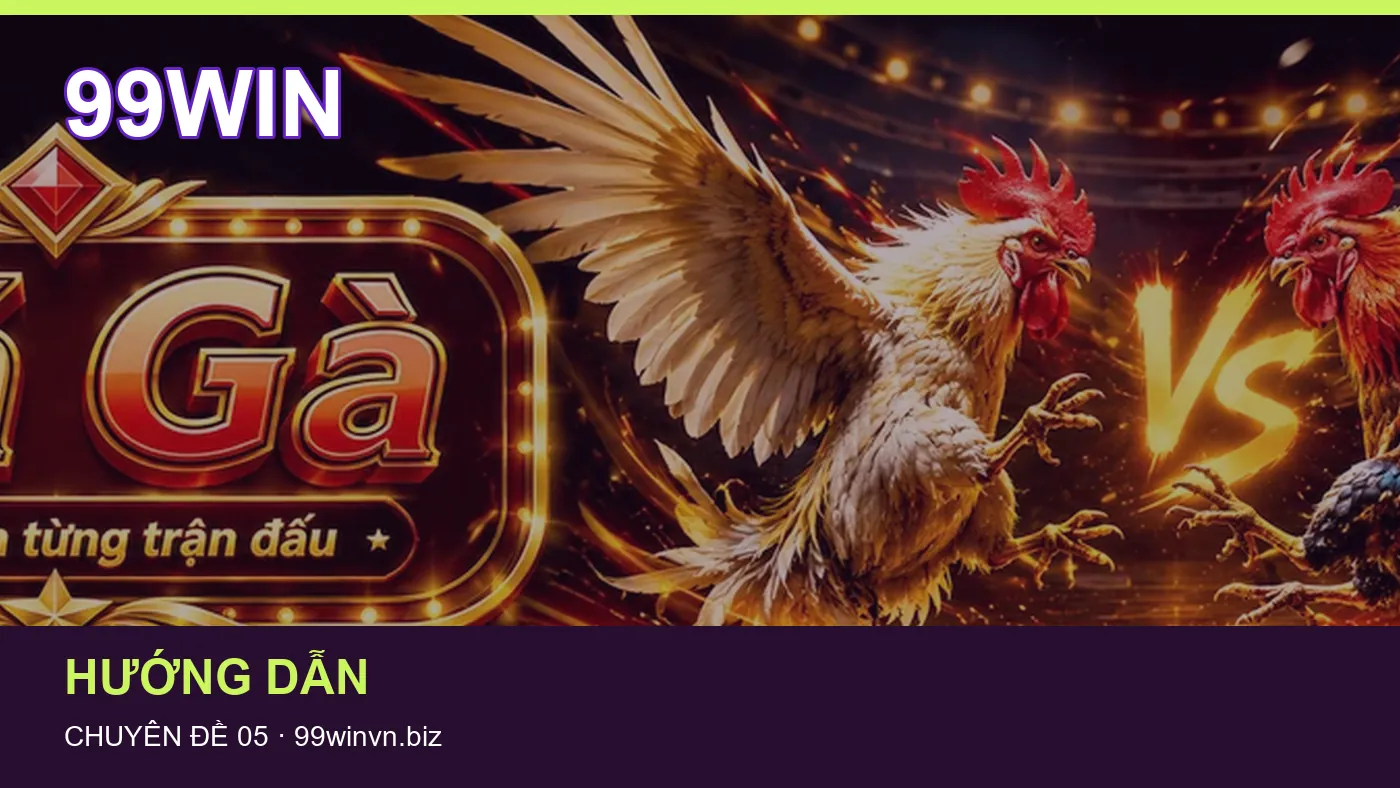 Danh sách kiểm tra thông tin Hướng dẫn dành cho người đọc 99WIN