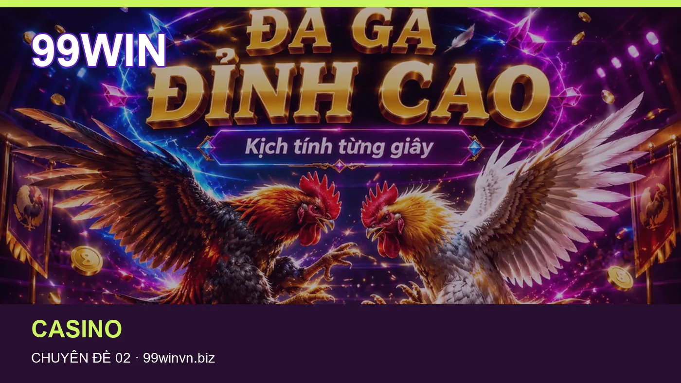 Đối chiếu nguồn và thời điểm cập nhật trong Hướng dẫn của 99WIN